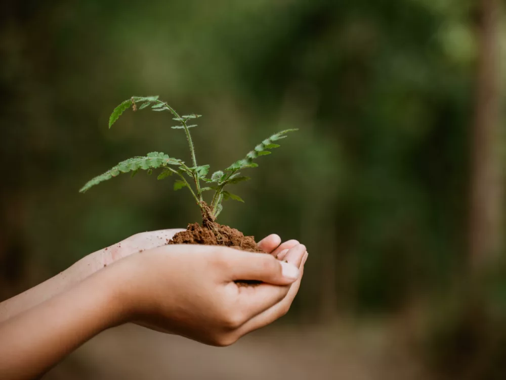 Family managing finances at the bank